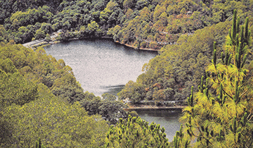 sattal_pangot_and_corbett_park_are_the_hotspots_of_birdwatching_in_india_for_more_than_200_species