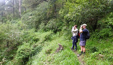 birdwatching_tours_are_the_forte_for_asian_adventures_the_largest_birding_tour_company_of_india